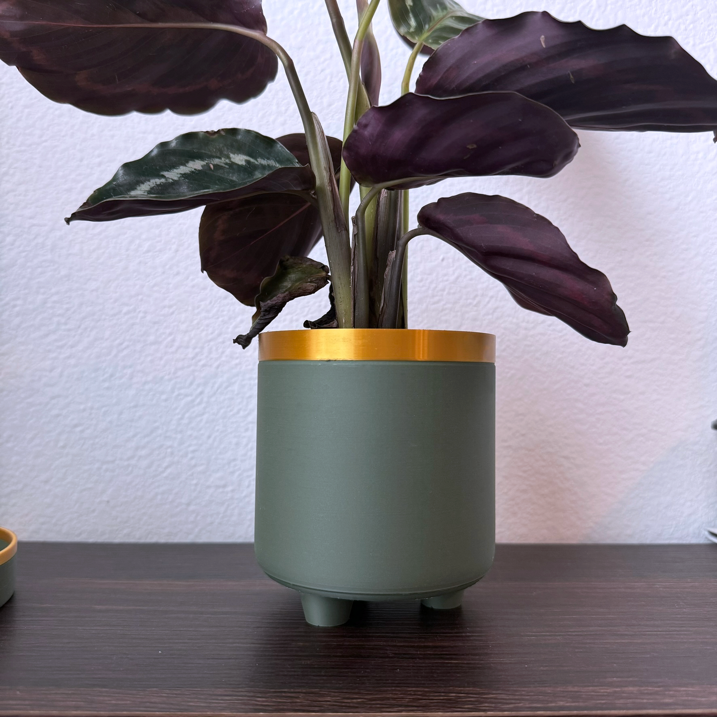 Modern Green and Gold Planter with Drip Tray - Bold Colors - Plant pot with tray - Planter with feet - Gold accents