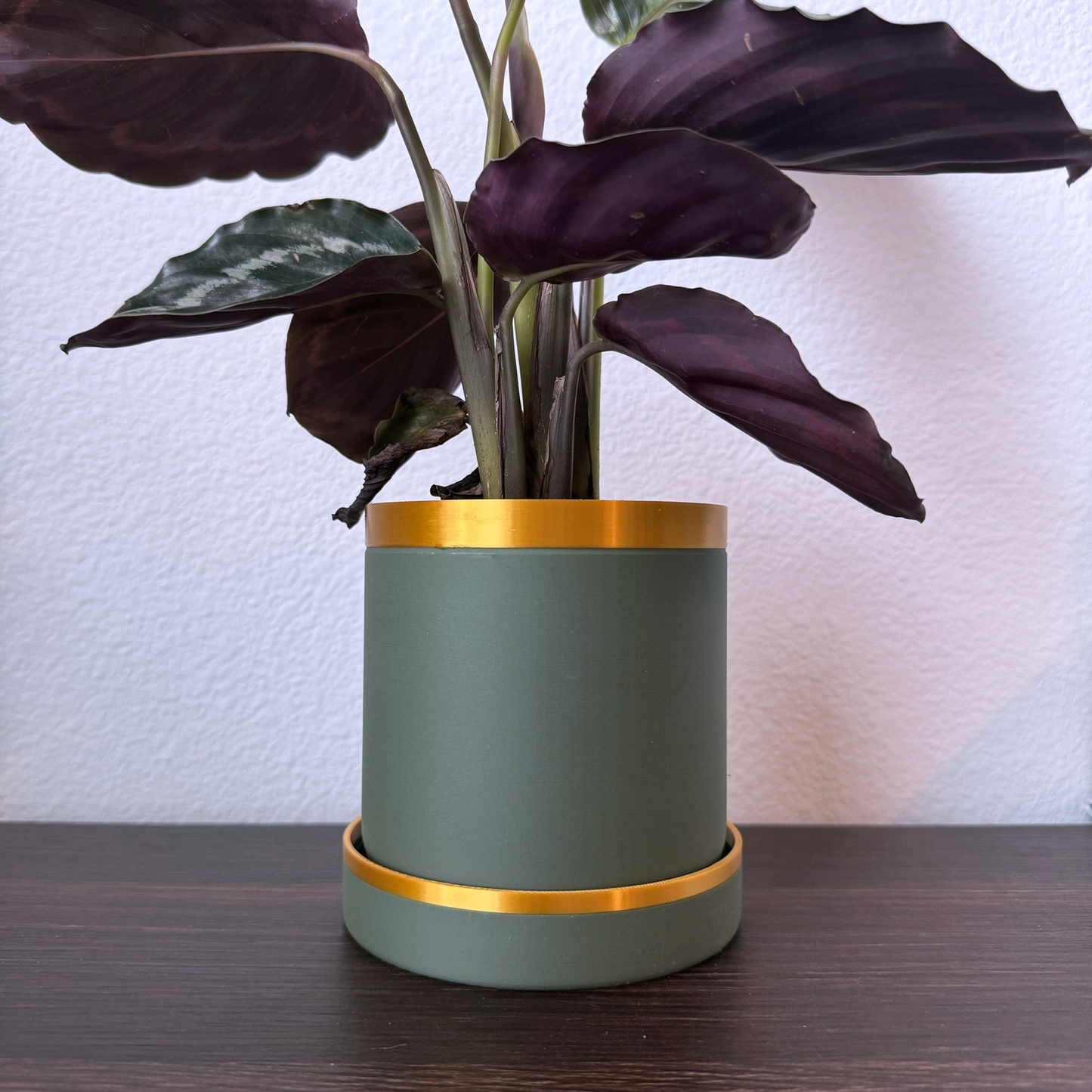Modern Green and Gold Planter with Drip Tray - Bold Colors - Plant pot with tray - Planter with feet - Gold accents