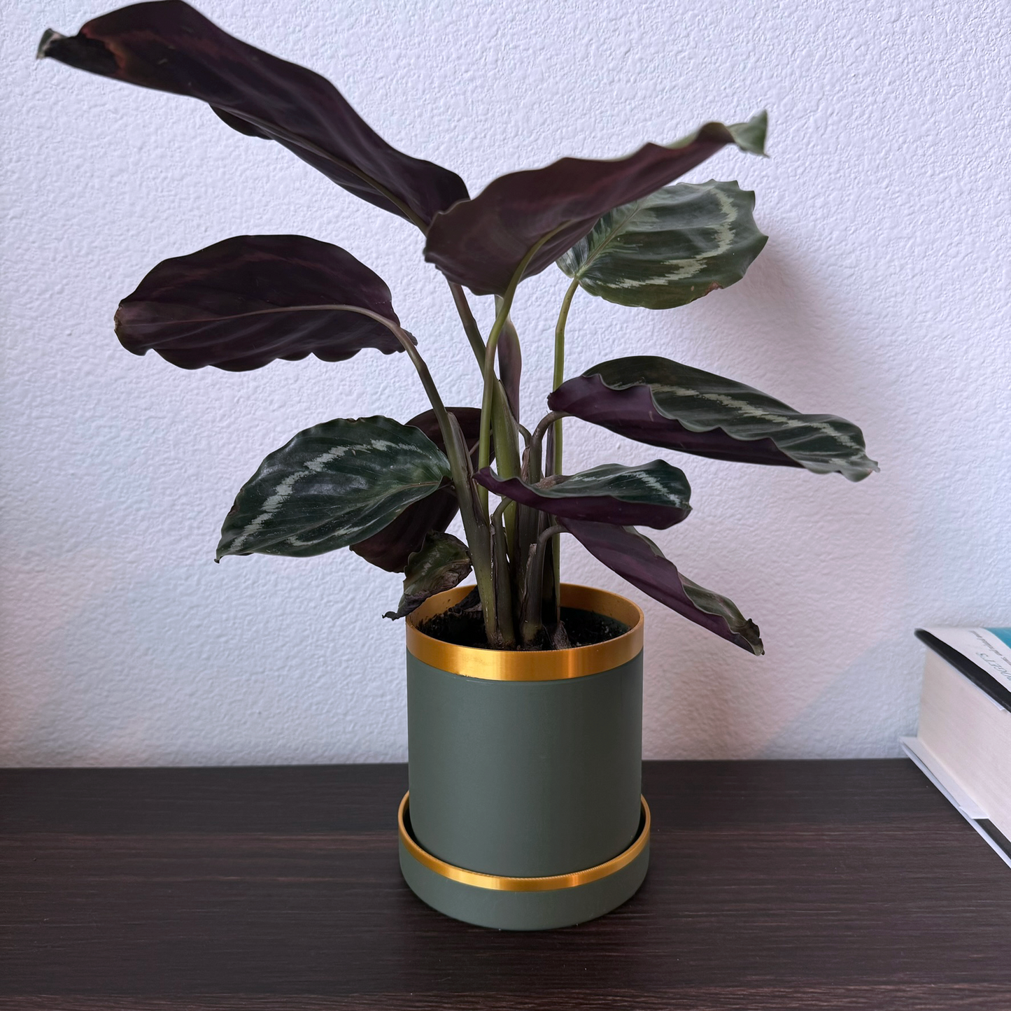Modern Green and Gold Planter with Drip Tray - Bold Colors - Plant pot with tray - Planter with feet - Gold accents