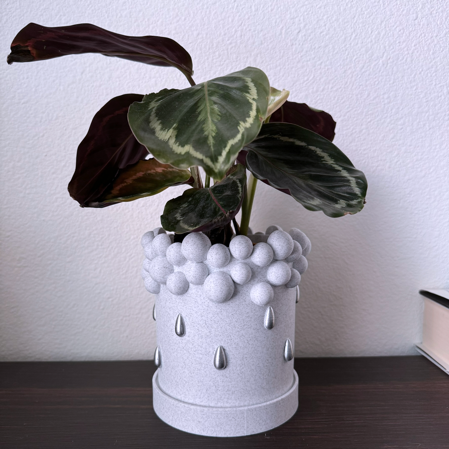 Silver Rain Cute Modern Round Planter and Tray - Abstract plant pot -simple minimalist