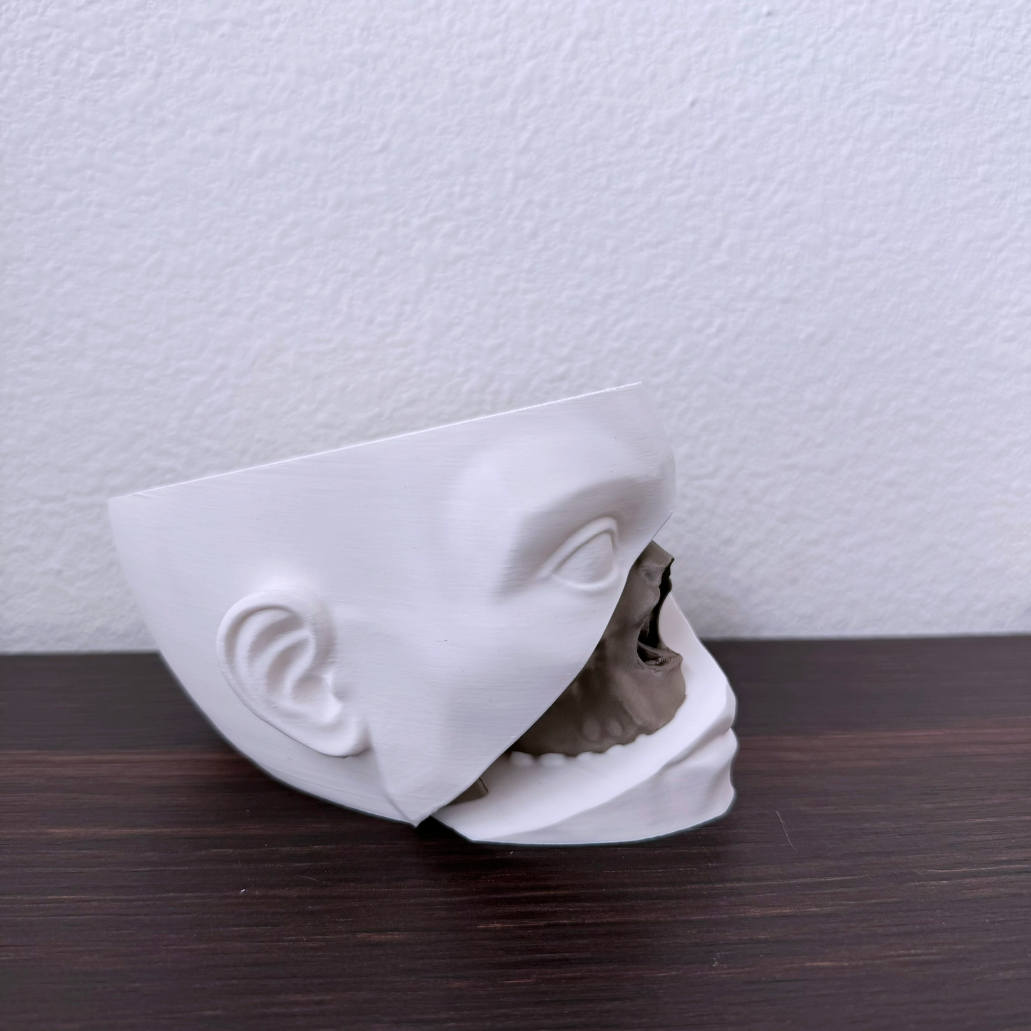 Human head and skull planter - Succulent planter in the shape of a head with a skull cut out and color transition