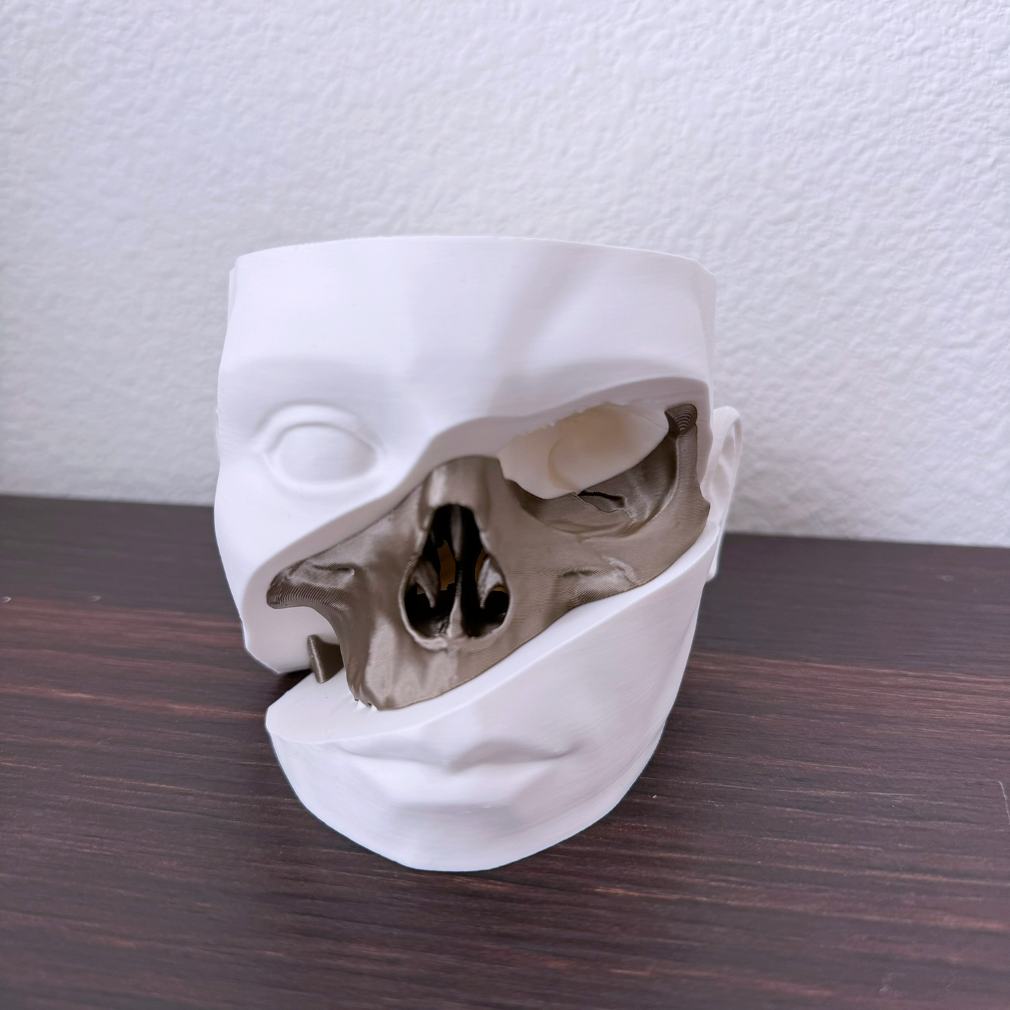 Human head and skull planter - Succulent planter in the shape of a head with a skull cut out and color transition