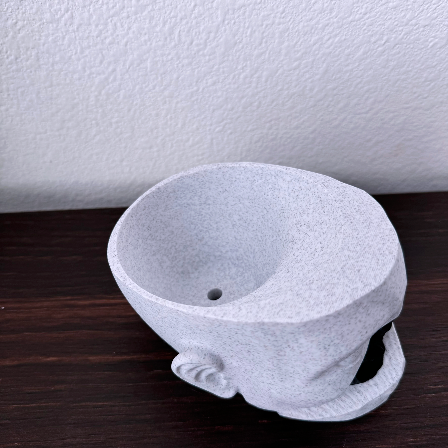 Human head and skull planter - Succulent planter in the shape of a head with a skull cut out and color transition