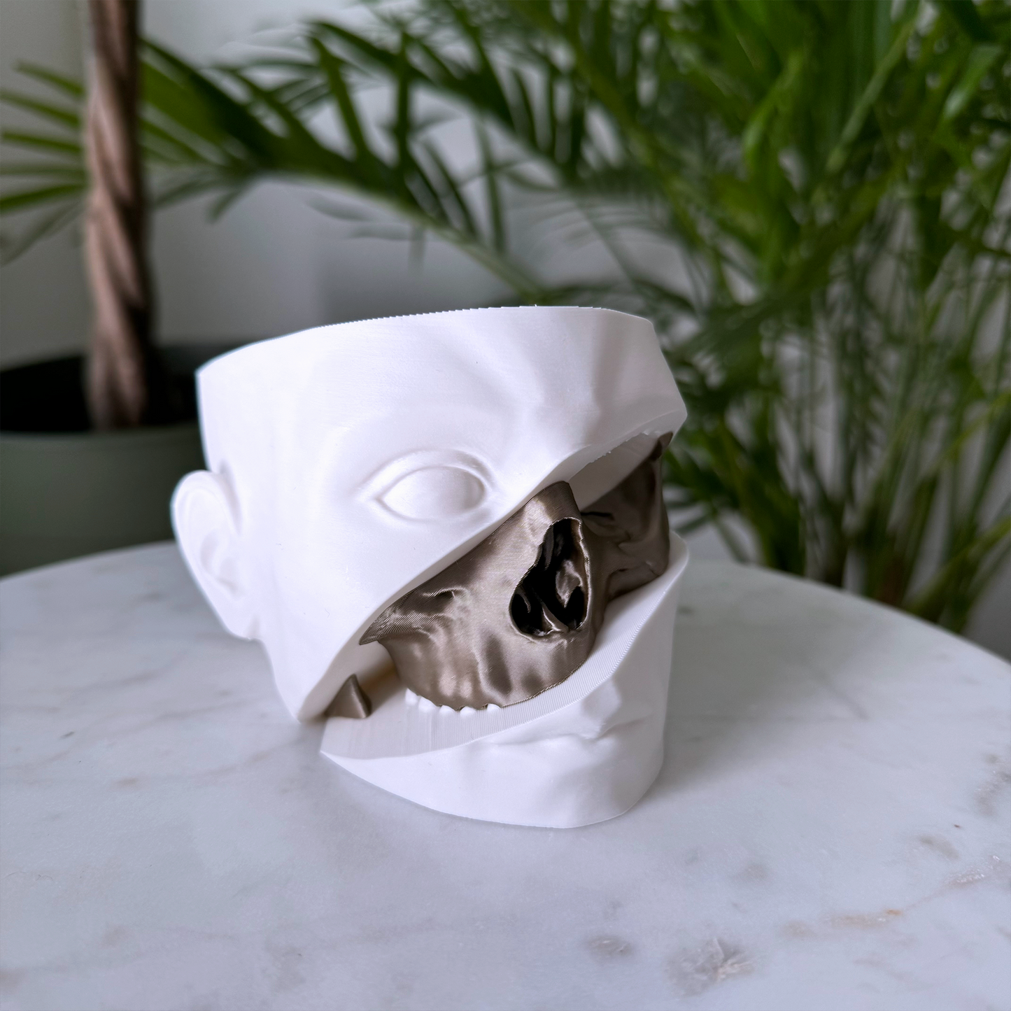 Human head and skull planter - Succulent planter in the shape of a head with a skull cut out and color transition