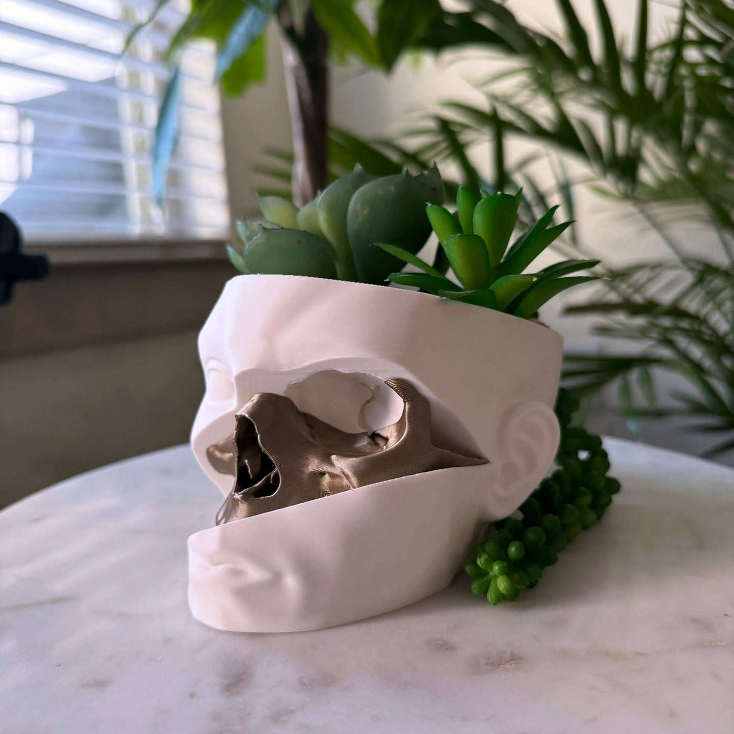 Human head and skull planter - Succulent planter in the shape of a head with a skull cut out and color transition