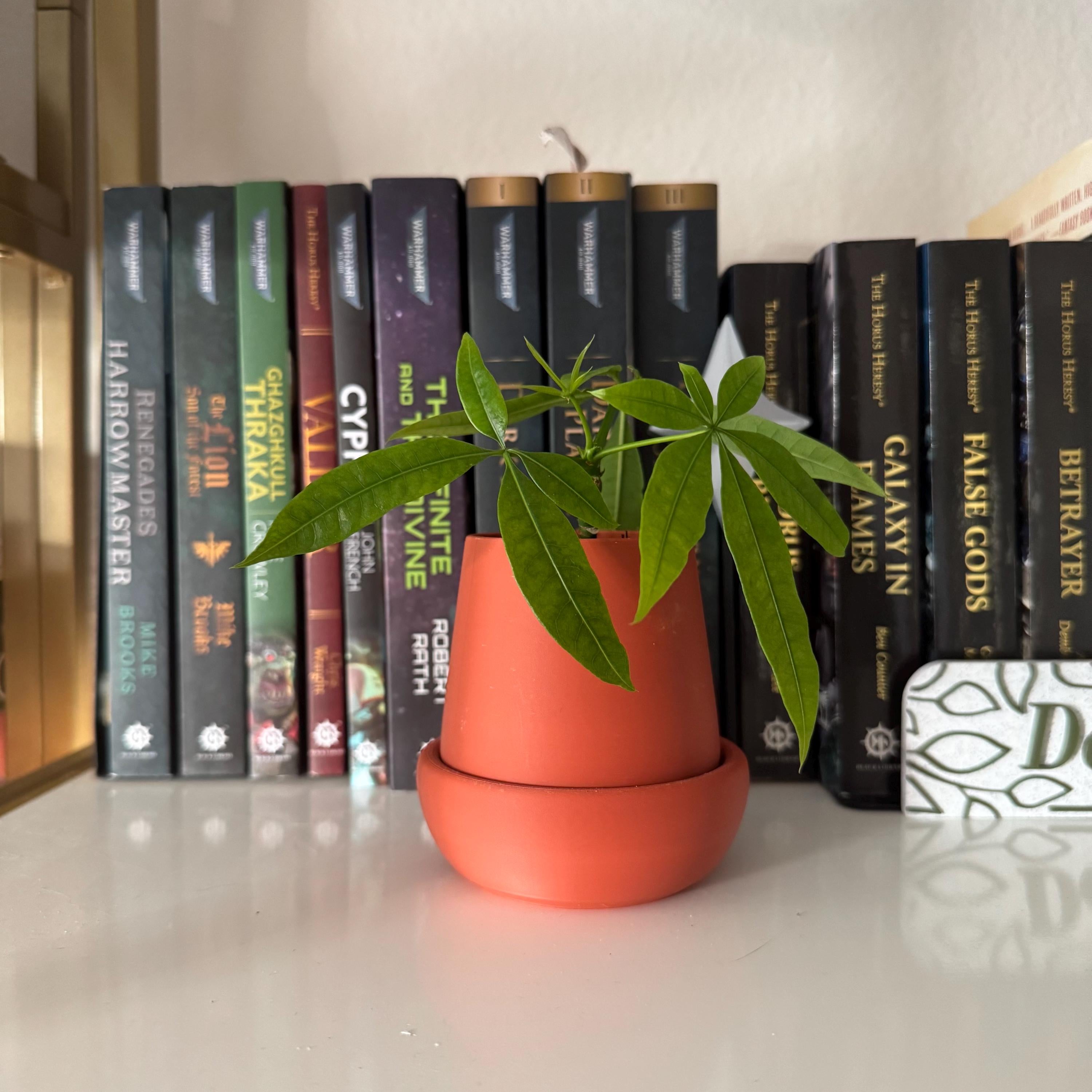 Small planter with drip tray, for small plants and succulents