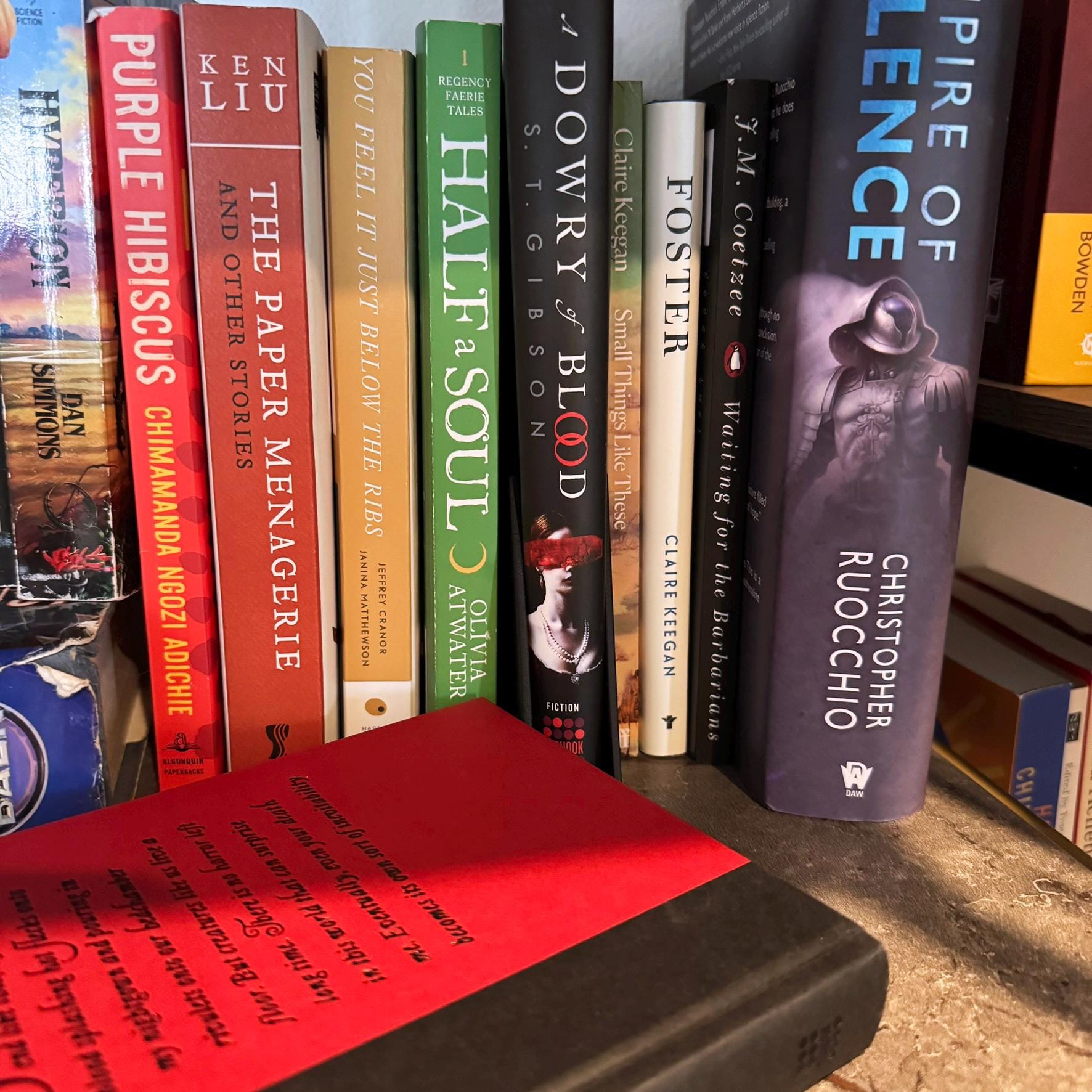 Hardcover Book Dust Jacket Holder: Bookshelf Insert