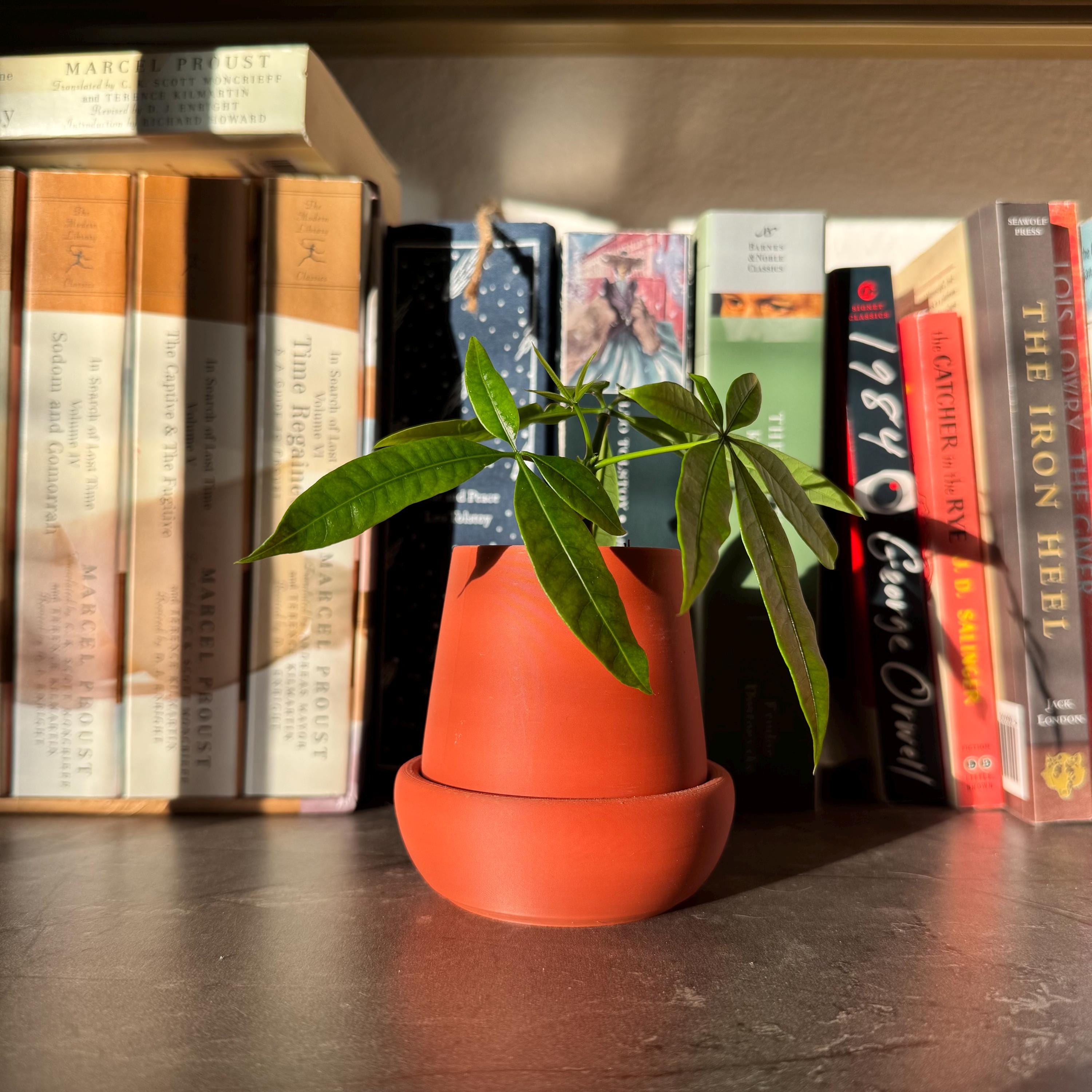 Small planter with drip tray, for small plants and succulents