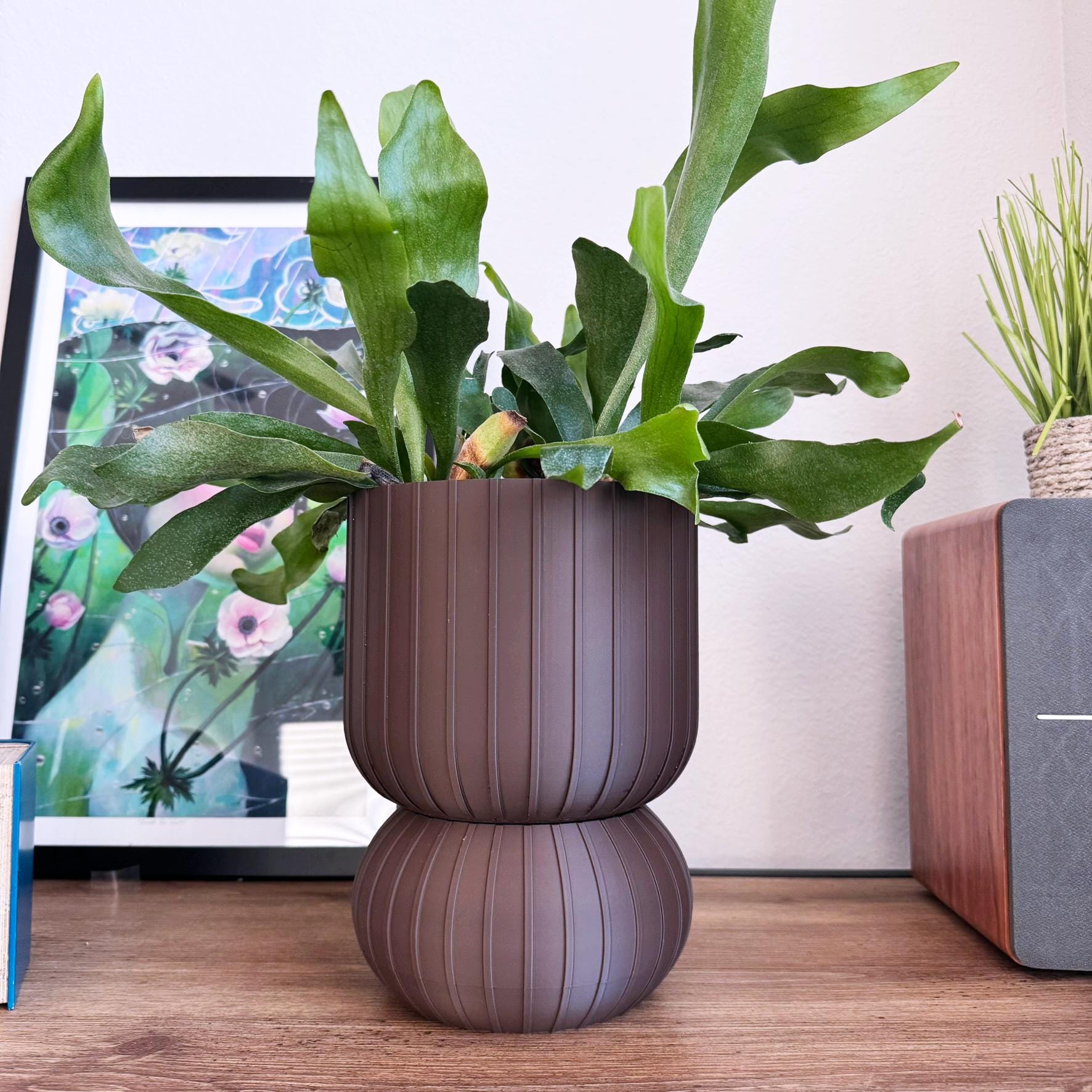 Ribbed Geometric Planter with Drip Tray - Comes in Two Sizes - Medium Sized Plant pot