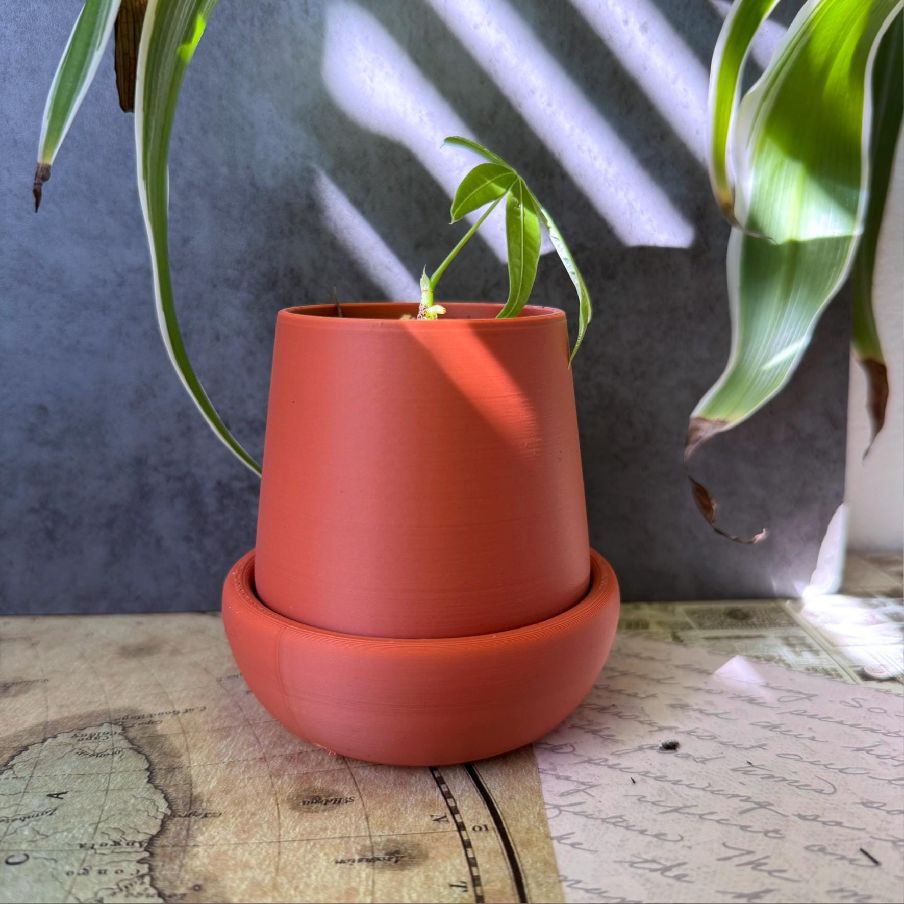 Small planter with drip tray, for small plants and succulents