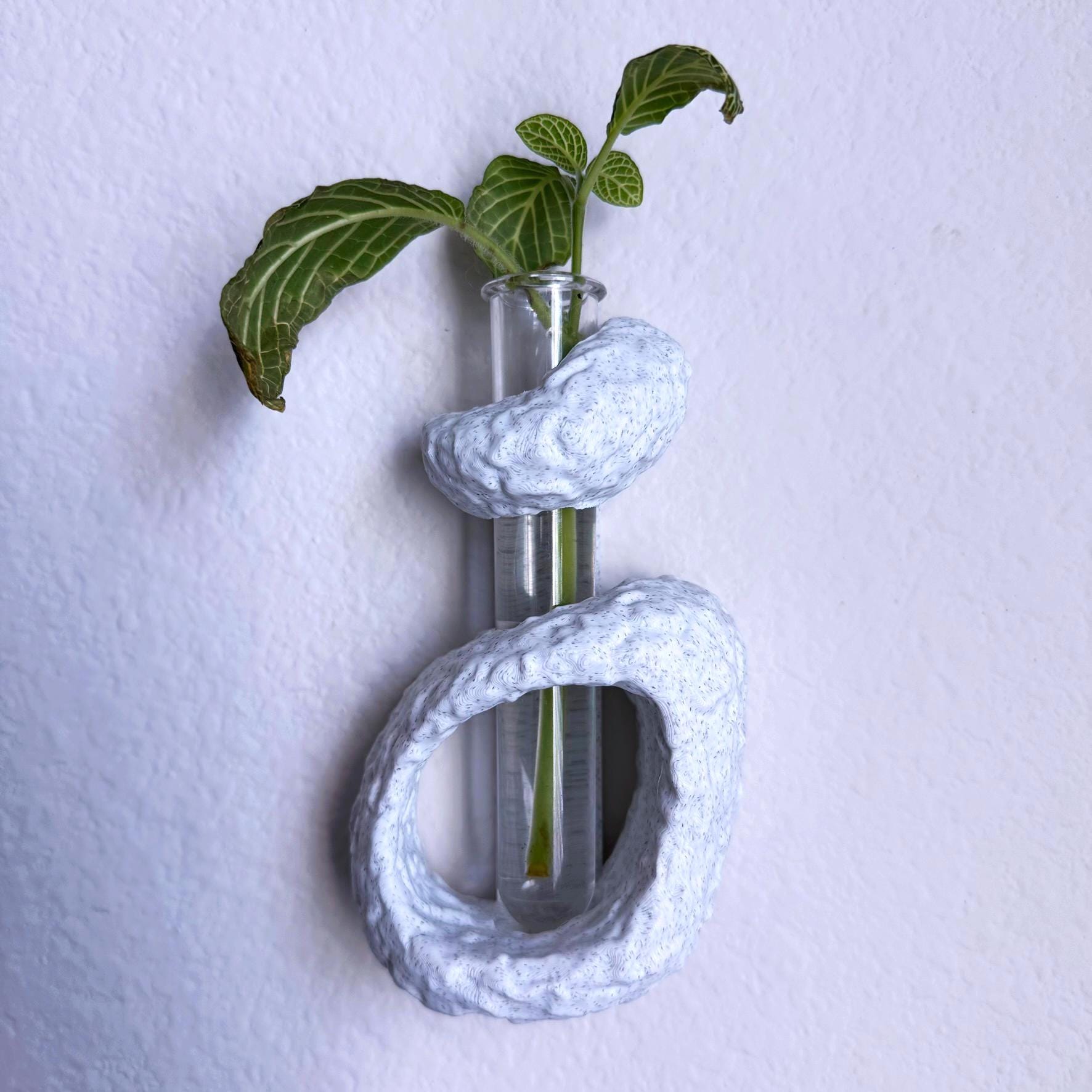 Abstract Wall Propagation Vase