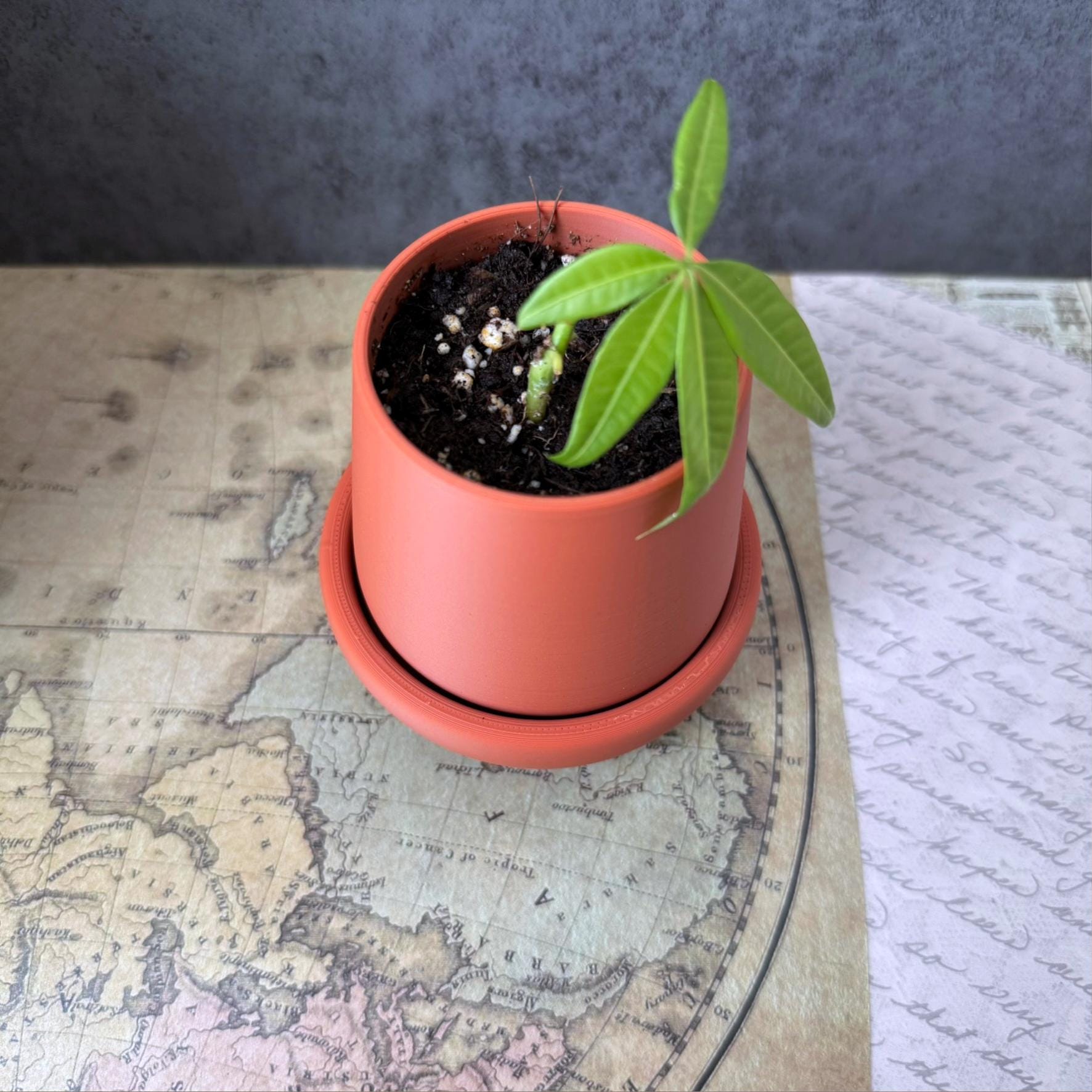 Small planter with drip tray, for small plants and succulents