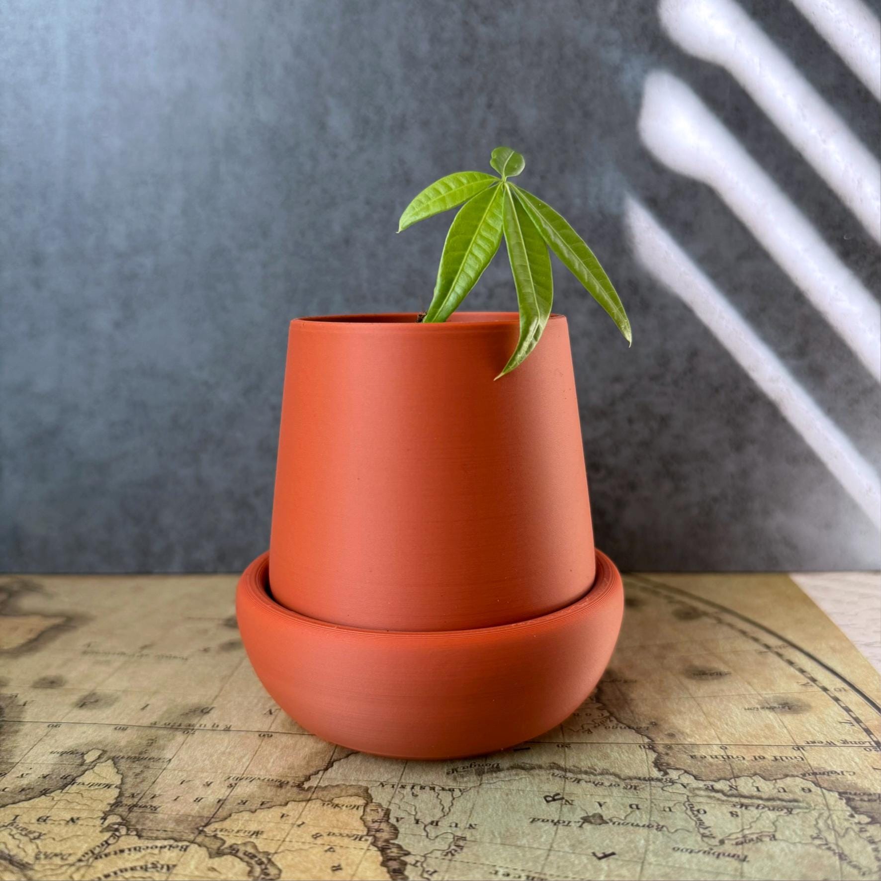 Small planter with drip tray, for small plants and succulents