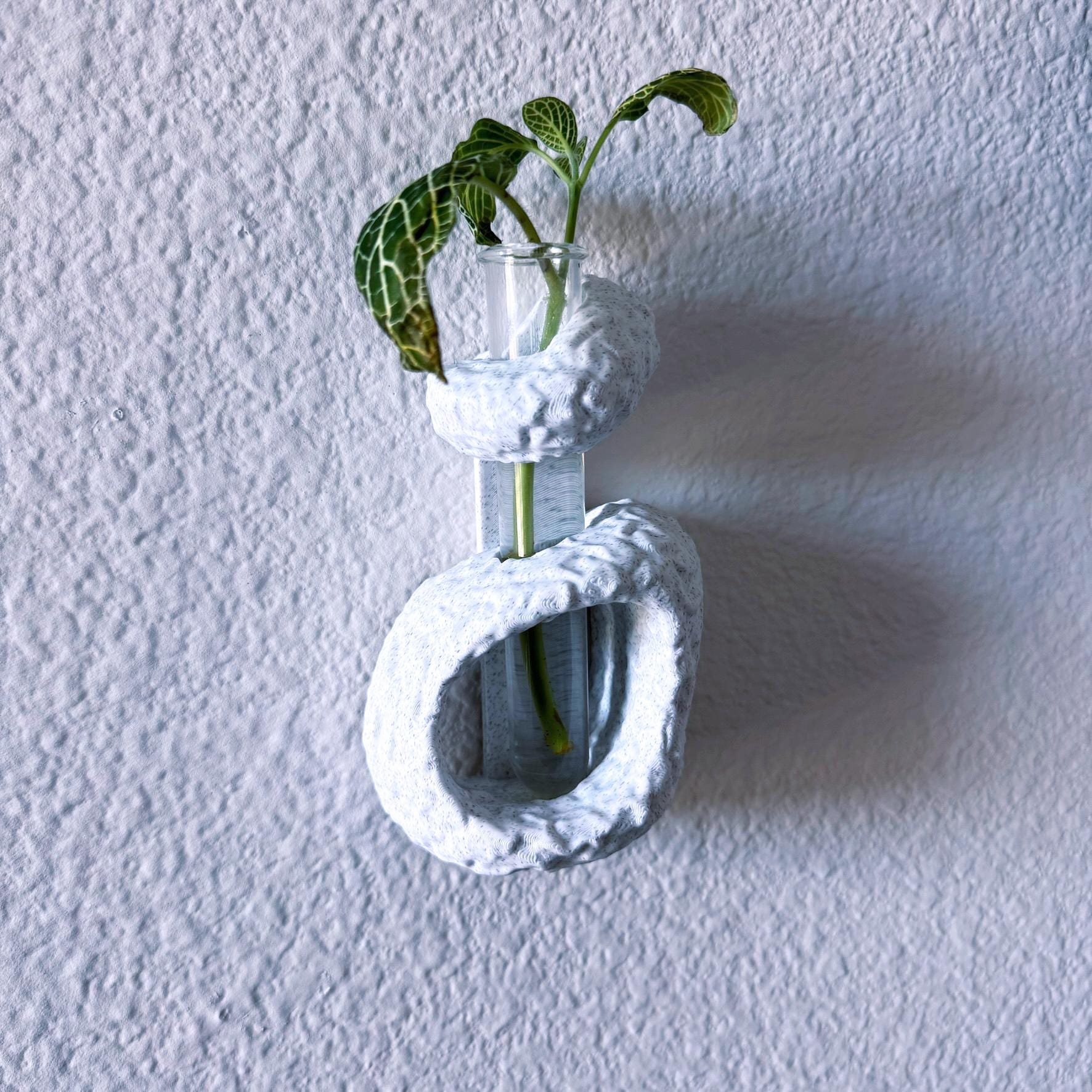 Abstract Wall Propagation Vase