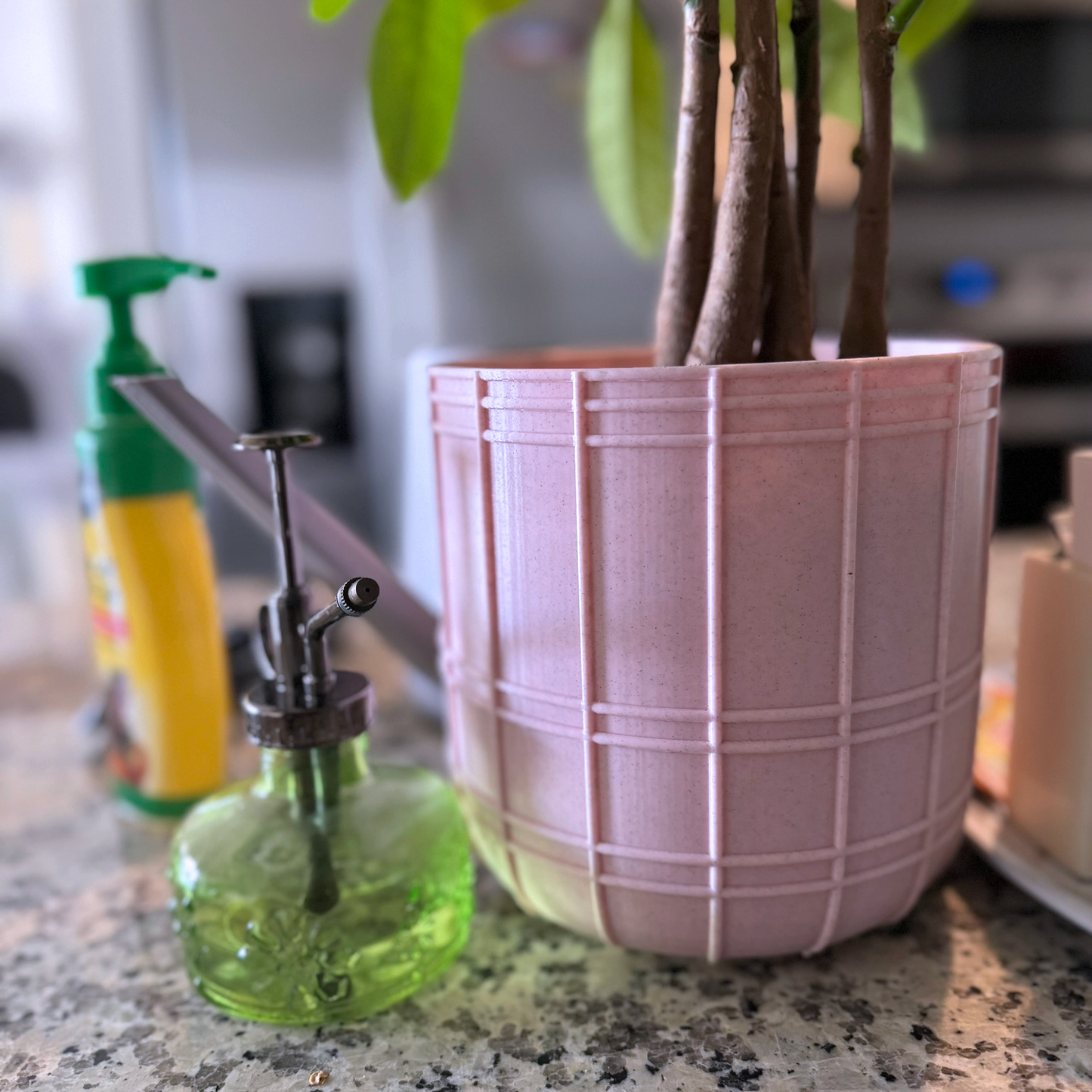 Bubble-gum pink planter, plant pot with pastel blue drip tray, cute, simple bubblegum plant pot