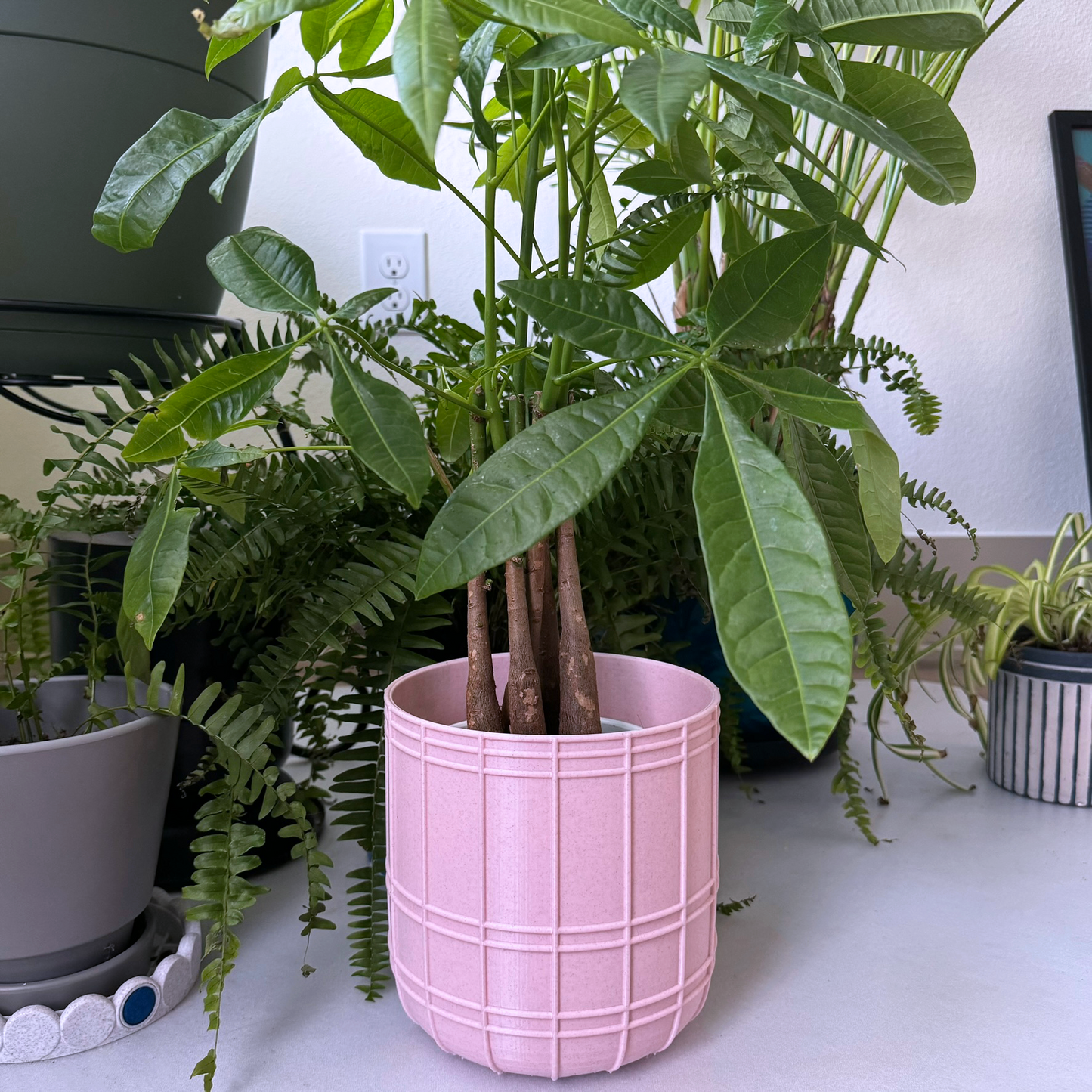 Bubble-gum pink planter, plant pot with pastel blue drip tray, cute, simple bubblegum plant pot