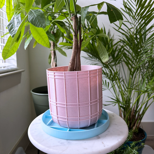 Bubble-gum pink planter, plant pot with pastel blue drip tray, cute, simple bubblegum plant pot