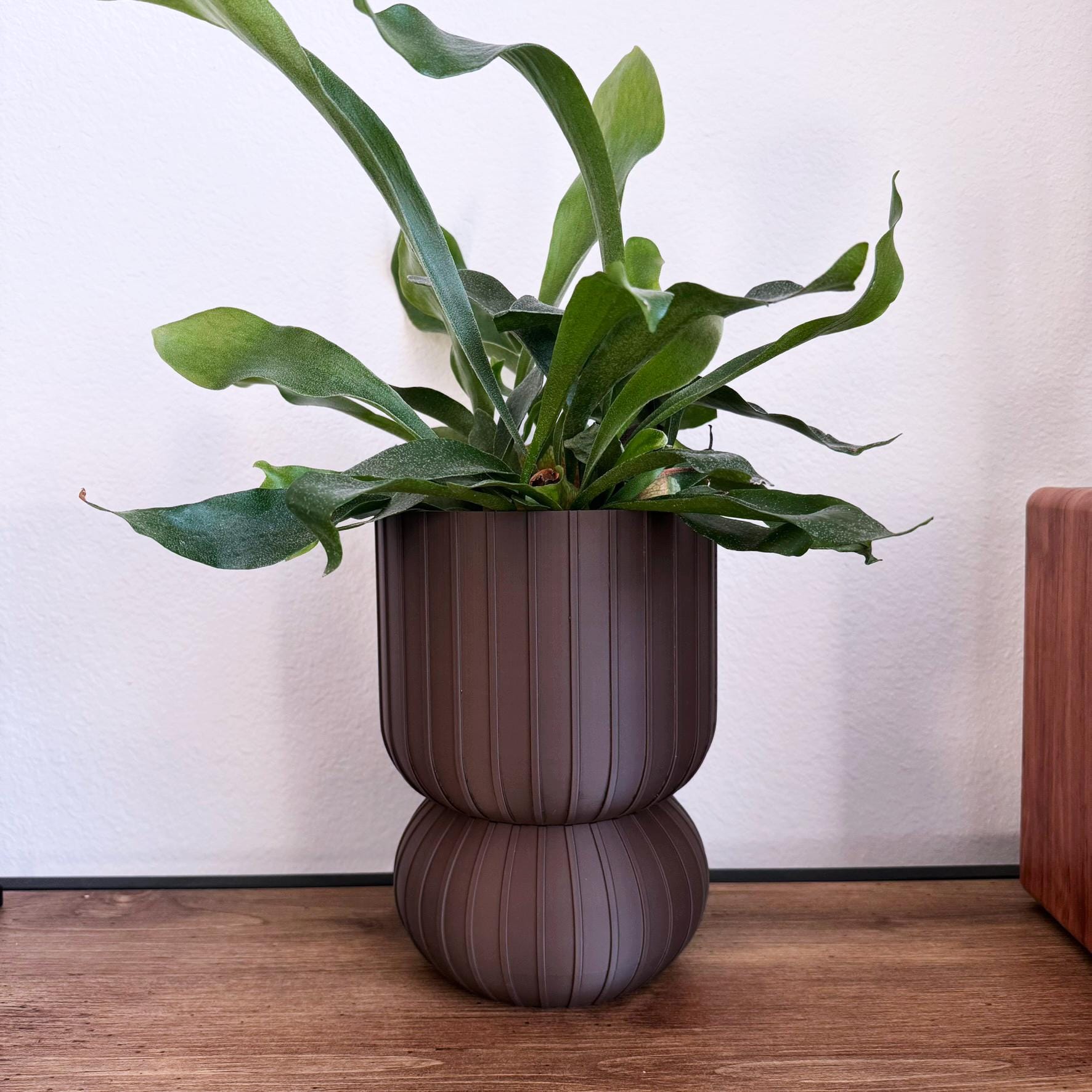 Ribbed Geometric Planter with Drip Tray - Comes in Two Sizes - Medium Sized Plant pot