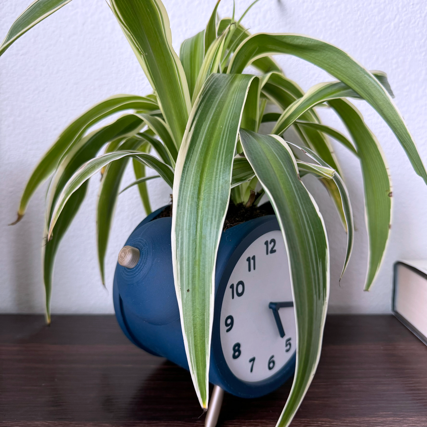 Alarm Clock Planter - Unique Plant Pot - Decorative and Functional - Fun Design - Moveable Clock Hands - Analog