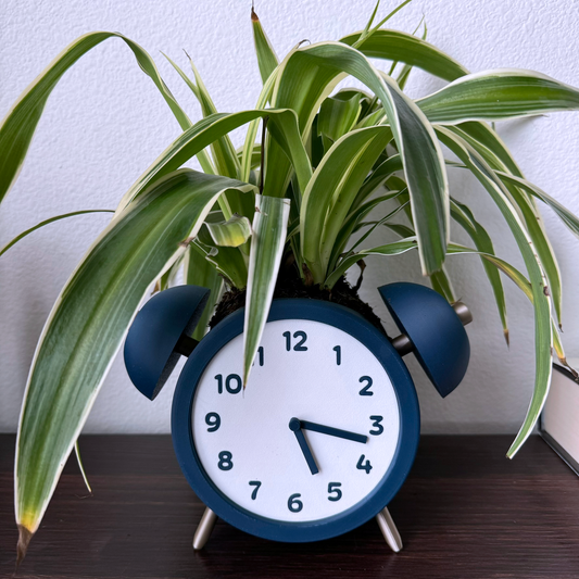 Alarm Clock Planter - Unique Plant Pot - Decorative and Functional - Fun Design - Moveable Clock Hands - Analog