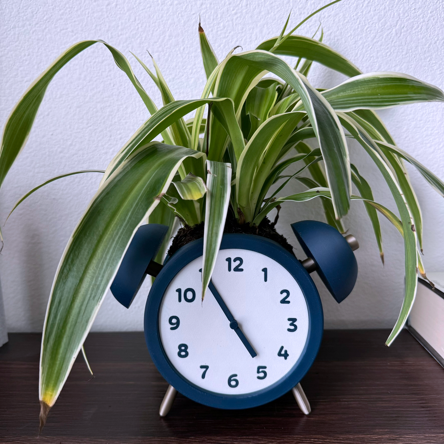 Alarm Clock Planter - Unique Plant Pot - Decorative and Functional - Fun Design - Moveable Clock Hands - Analog