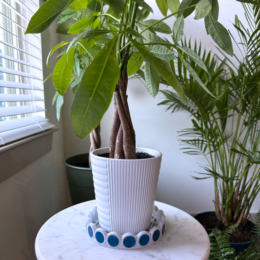 Round 5in white Drip Tray with Repeating Blue Circular Disc Design, planter drip tray, water catcher, water dish