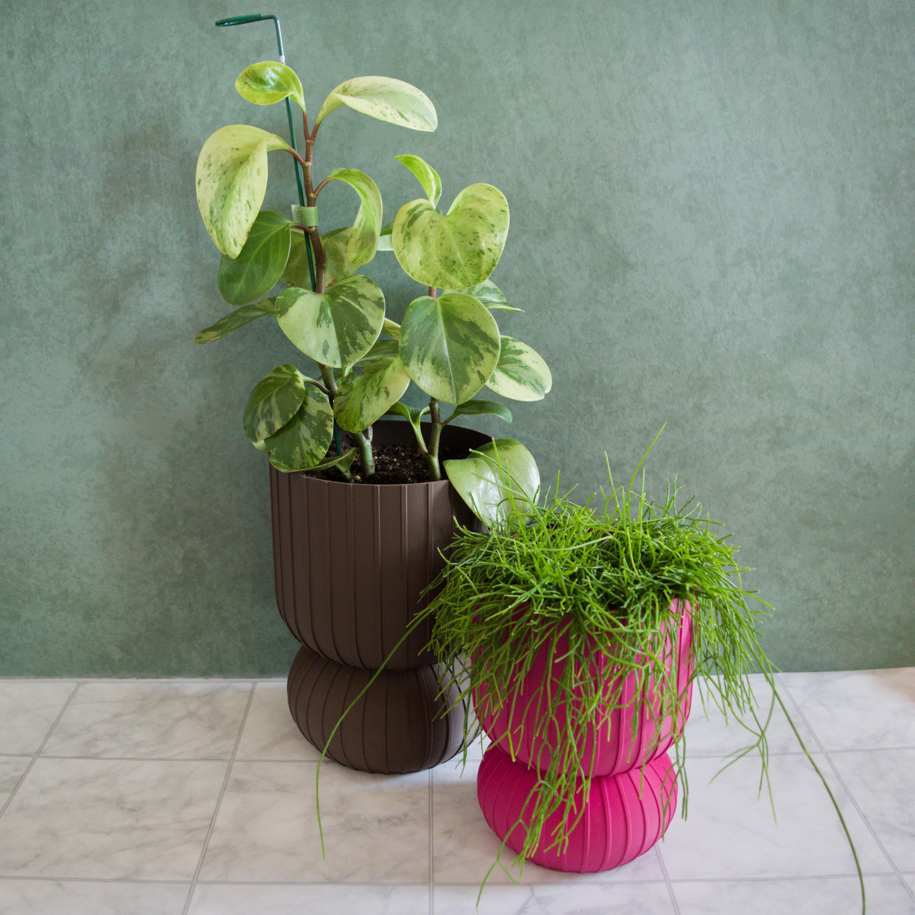 Ribbed Geometric Planter with Drip Tray - Comes in Two Sizes - Medium Sized Plant pot