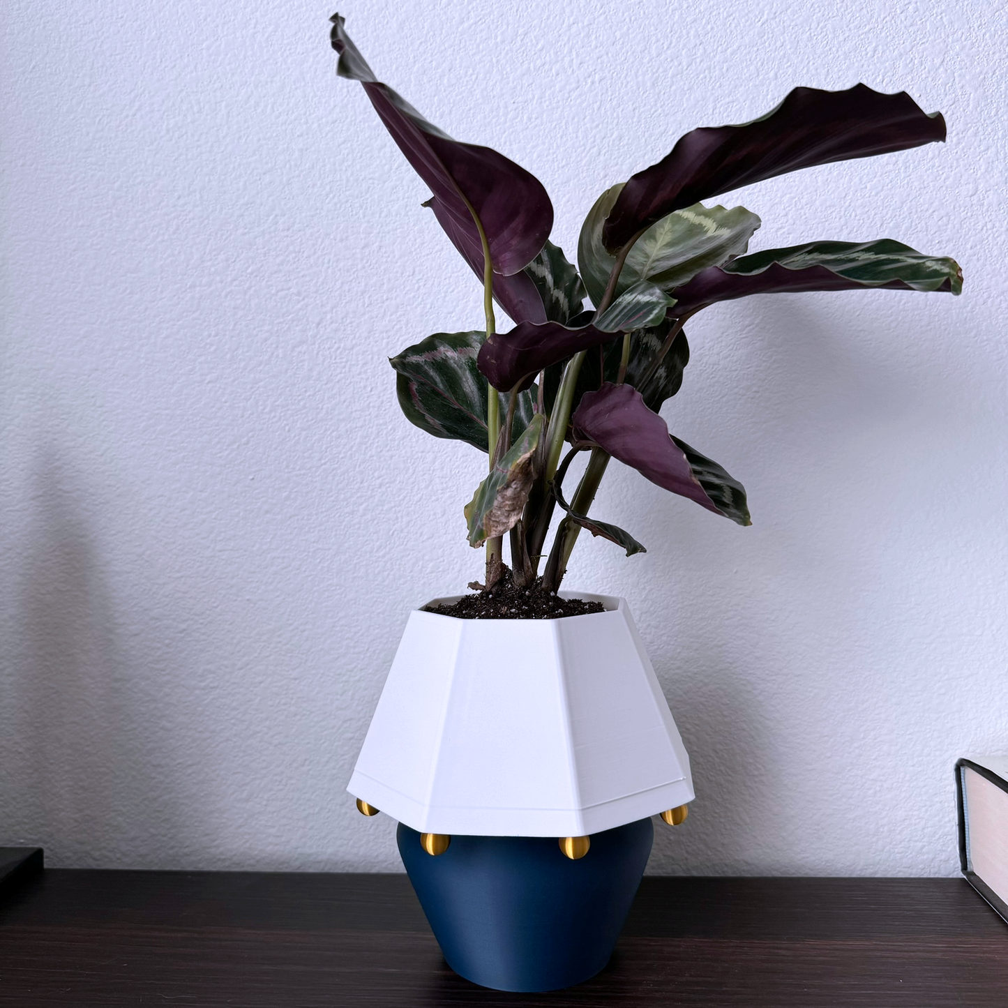 Unique Table Lamp Planter