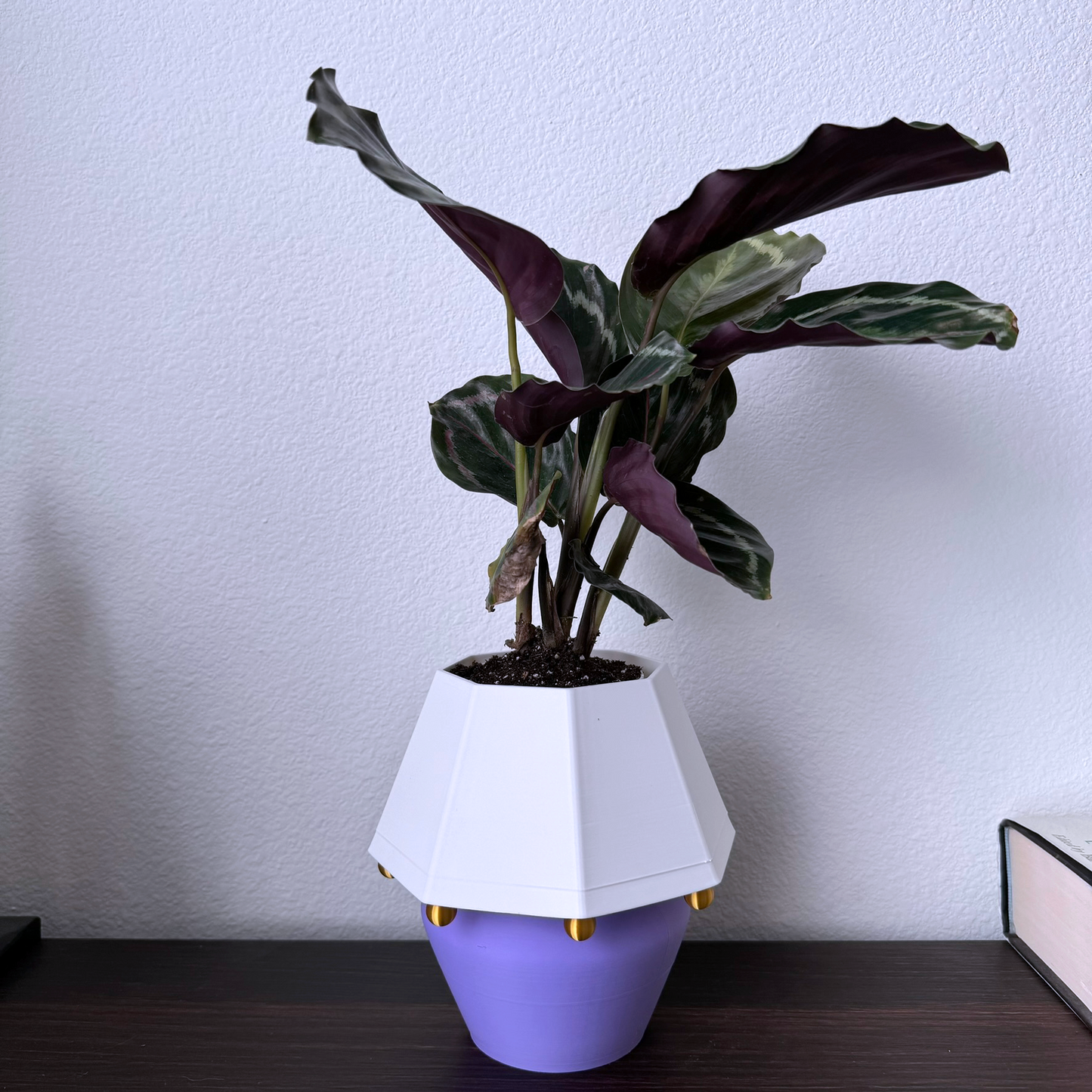 Unique Table Lamp Planter