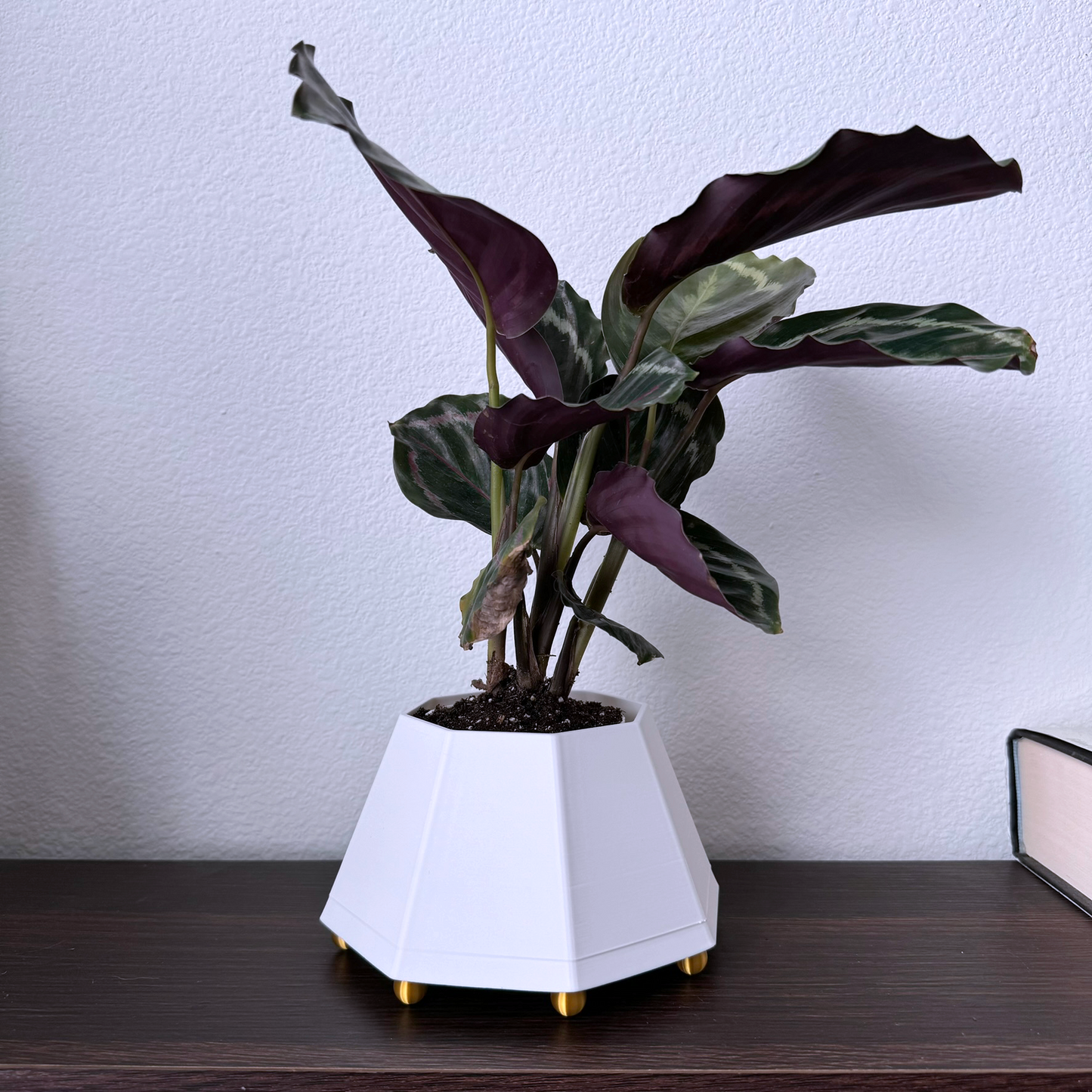 Unique Table Lamp Planter