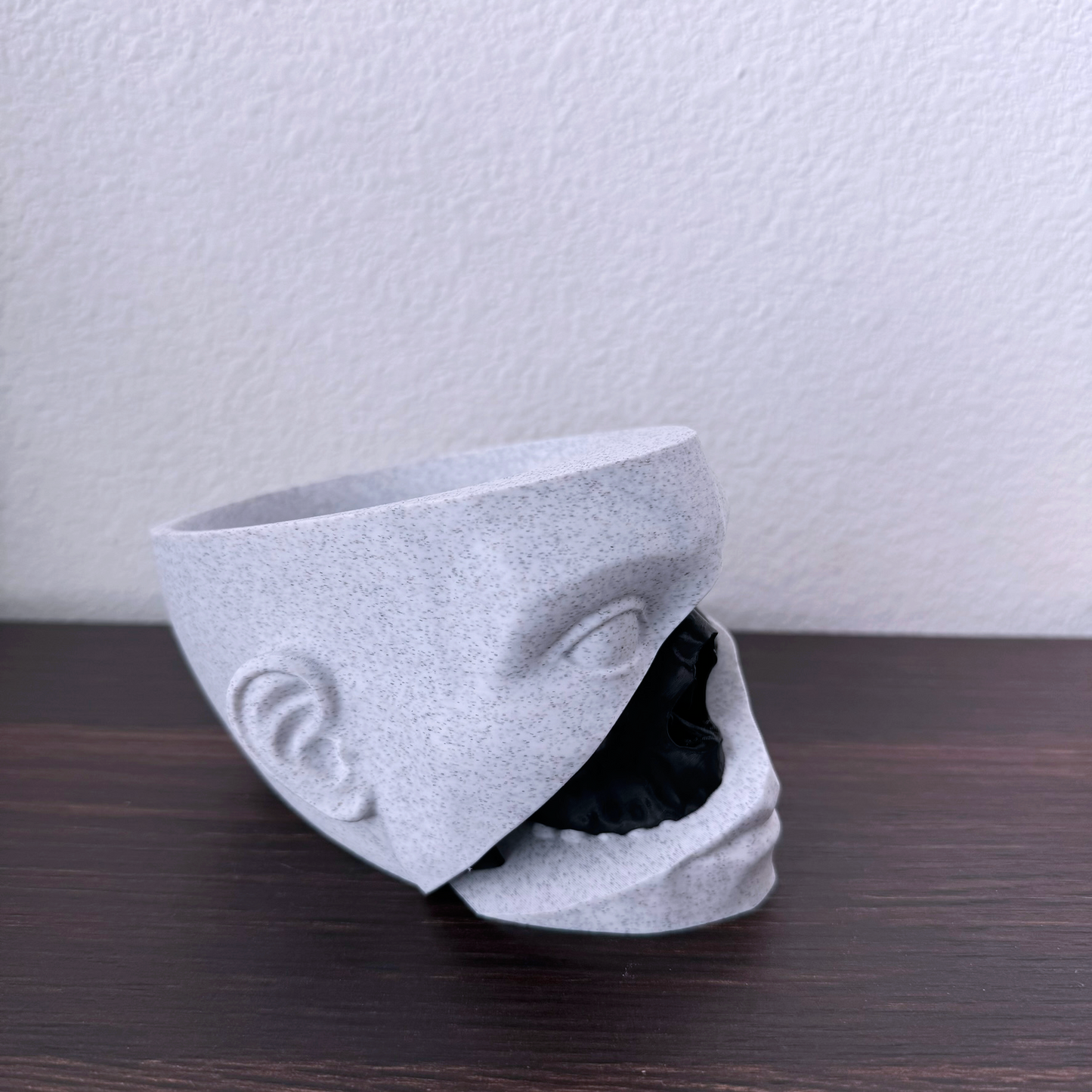 Human head and skull planter - Succulent planter in the shape of a head with a skull cut out and color transition